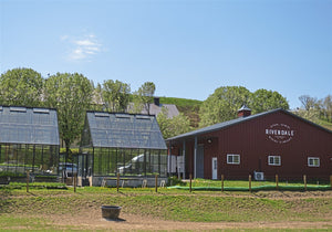 Rivendale Farms marries high-tech methods with sustainability