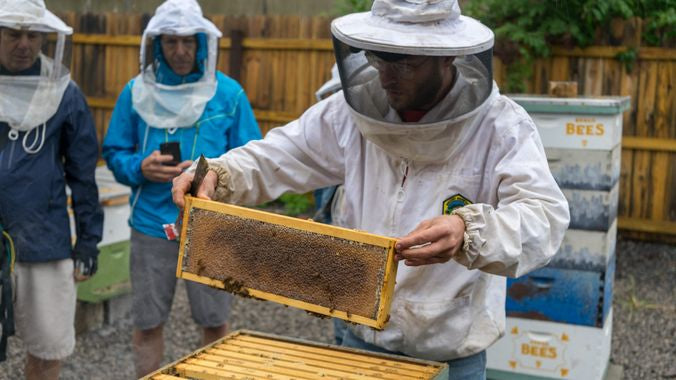 Inside Pittsburgh’s urban beekeeping renaissance