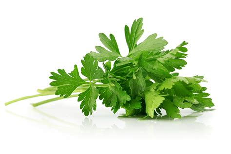 Parsley (One bunch)
