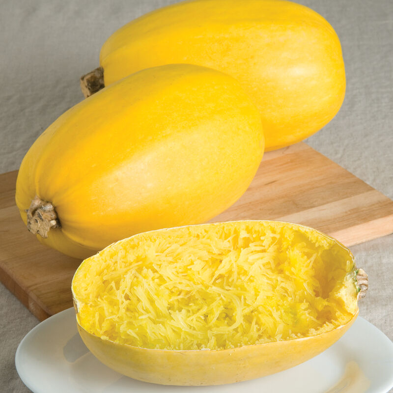 Spaghetti Squash (One each)