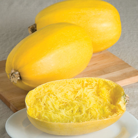 Spaghetti Squash (One each)