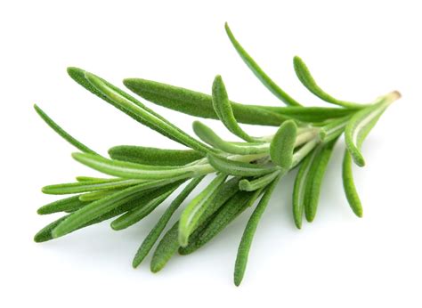 Rosemary (One bunch)