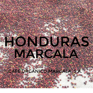 Honduras Marcala