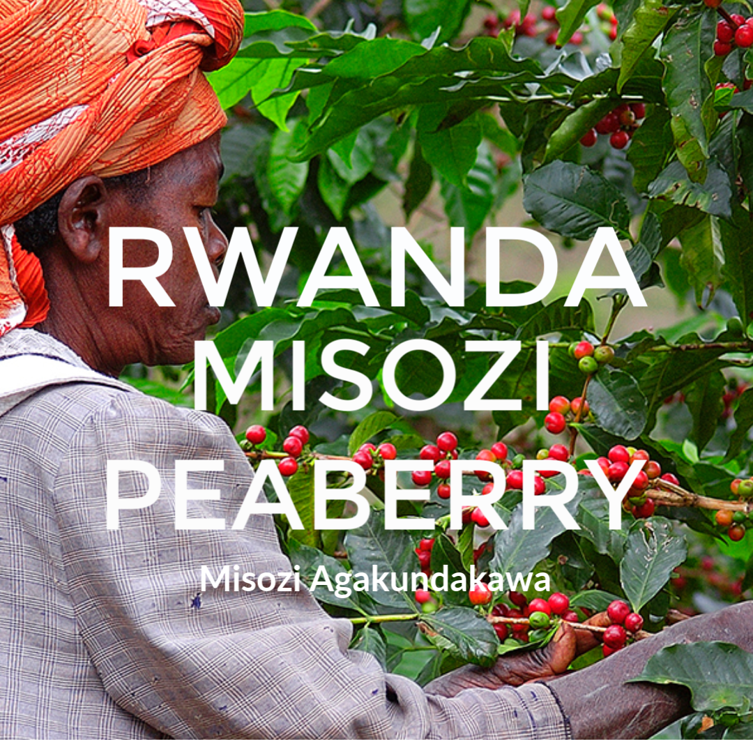 Rwanda Misozi Peaberry