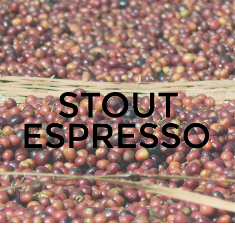 19 Stout Espresso