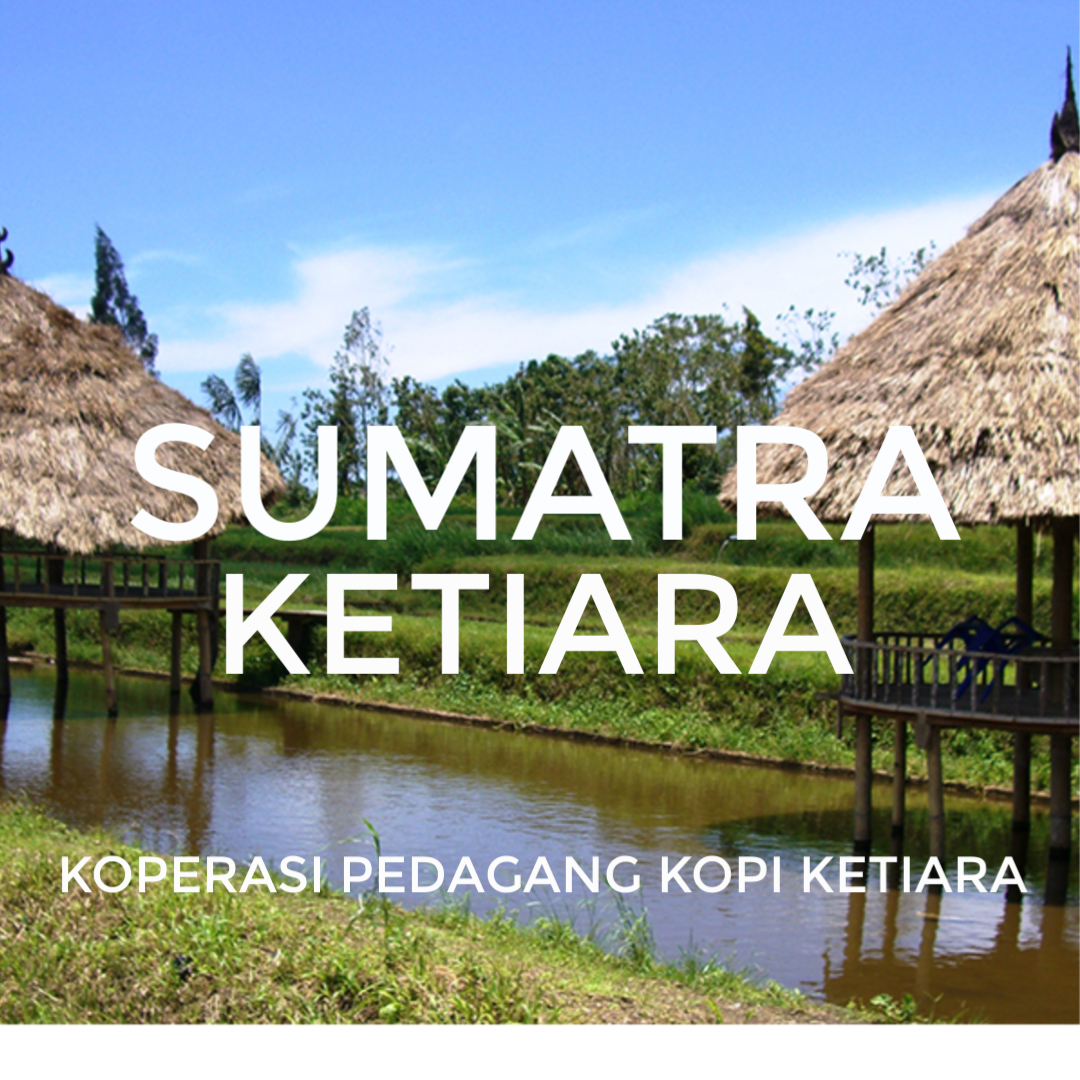 Sumatra Keitara