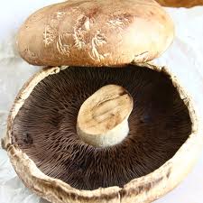Portobello Mushrooms (1/2 lb.)