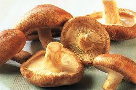 Shiitake Mushrooms (1/2 lb.)