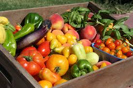 Summer Vegetable Box - Small (One-Time Order)