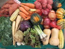 Winter/Spring Vegetable Box - Small (One-Time Order)